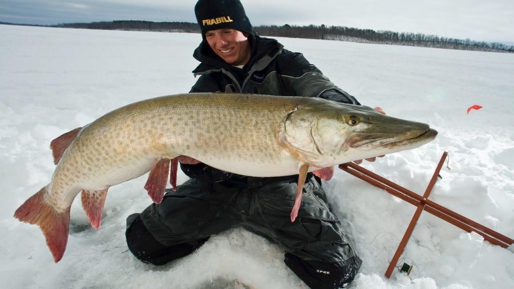 Video: How to Set an Ice Fishing Tip-Up