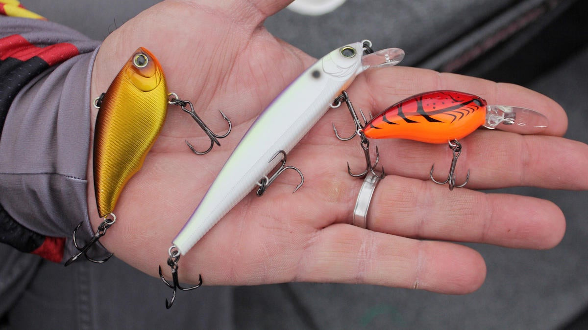 3 Must-Have Lures for Big Prespawn Bass - Wired2Fish