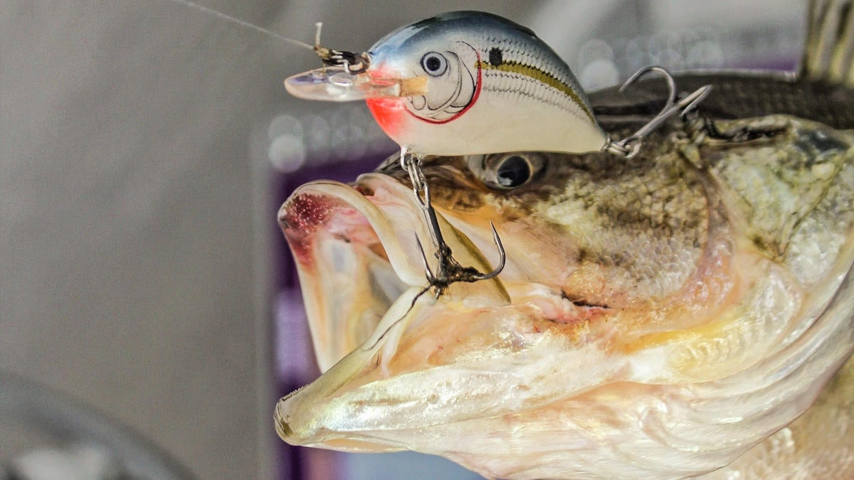 Why You Need to Match Your Line to Your Jerkbait Hooks - Wired2Fish