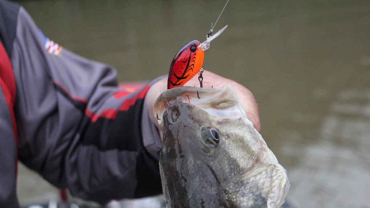 Top Five Year-round Lures for Bass Fishing - Fish Alabama - Alabama Bass  Trail