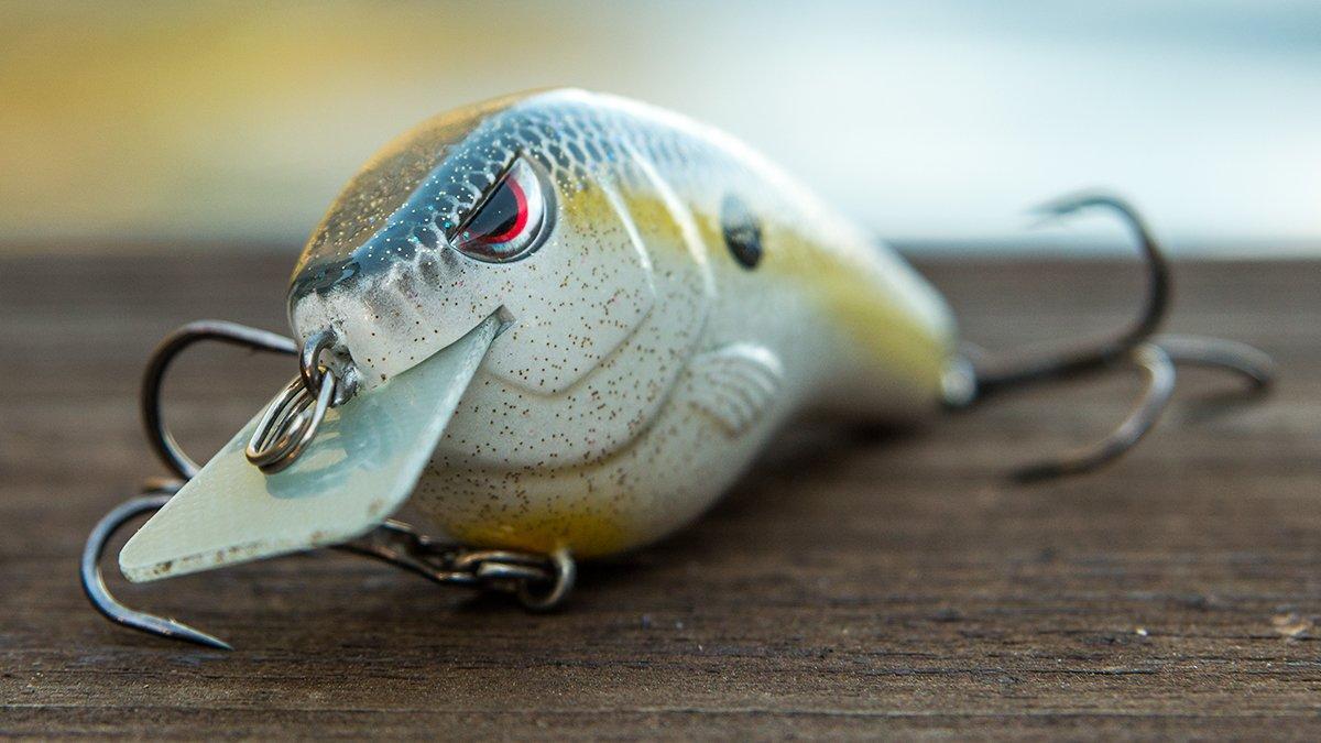 First Look: SPRO Fat Papa Squarebill - Wired2Fish