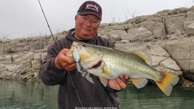Learn Why Bluffing Bass Works All Year
