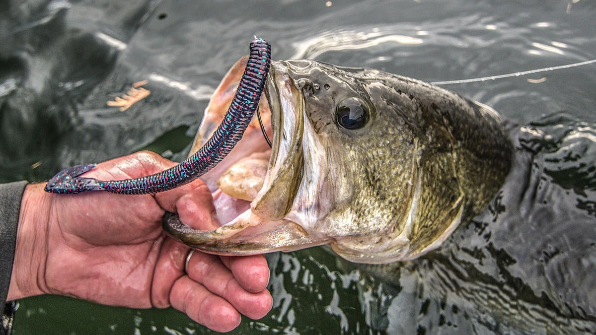 Zoom Magnum Shakey Head Worm Review - Wired2Fish