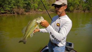 Fishing Prop Baits for Spawning Bass