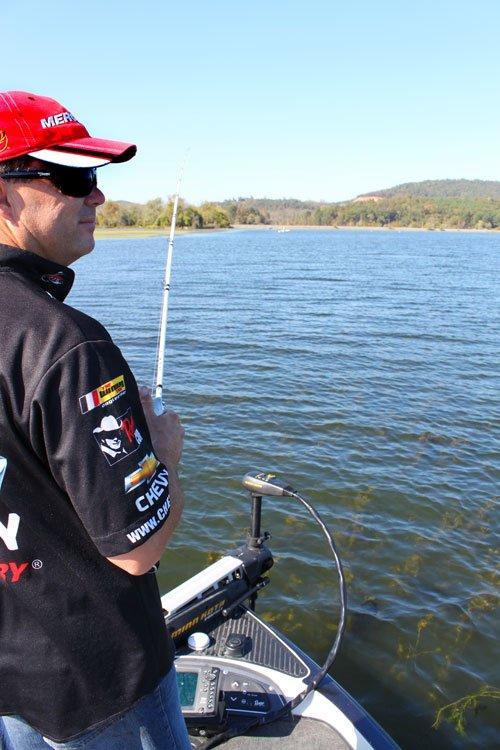 Fishing for Bass with Swimbaits in the Grass