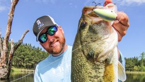 The Importance of Deep Water in Fall Bass Fishing