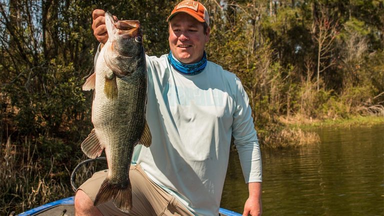 5 Factors for Catching Big Bass in Bank Grass