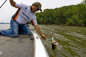 4 Tips to Trigger Bass with a Crankbait