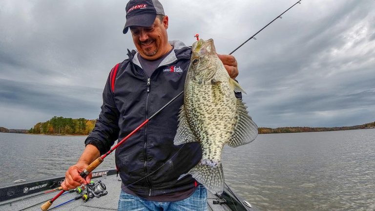 6 Ways to Catch More Crappie This Fall and Winter