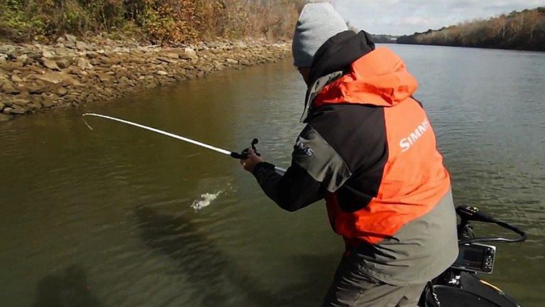 Do You Set the Hook Wrong? - Wired2Fish
