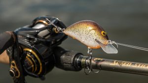 Bagley Pro Sunny B Crankbait Review