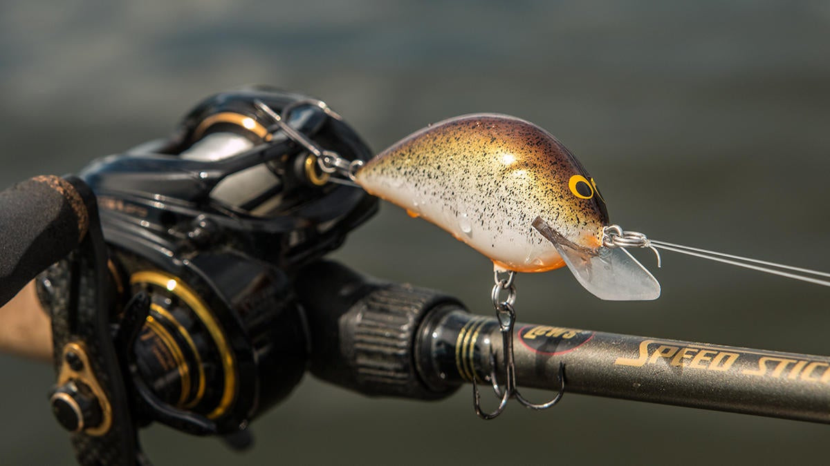 Bagley Pro Sunny B Crankbait Review - Wired2Fish