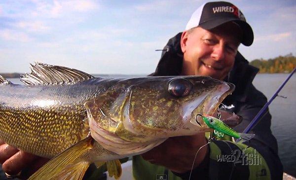 How to Power Jig Open Water Walleyes