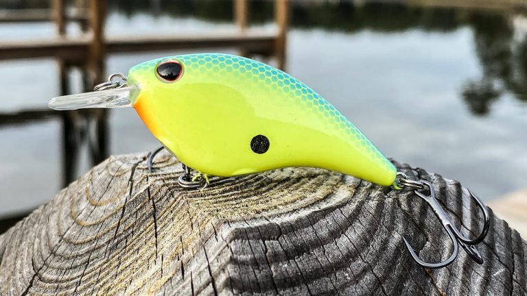 5 Bass Fishing Crankbaits I’m Excited to Try This Fall