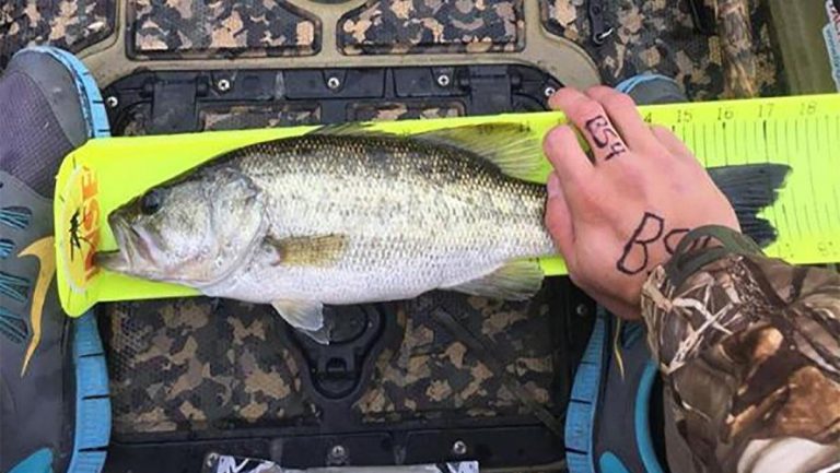Alleged Cheater Charged in Kayak Fishing Tournament