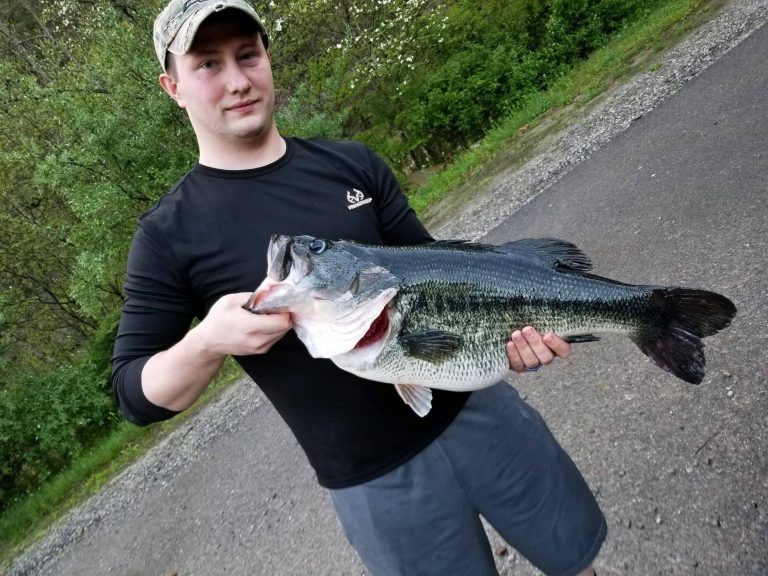 New Kentucky State Record Bass Caught