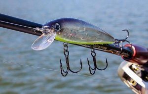 Strike King KVD Jerkbait Review