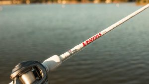 Abu Garcia Veritas Casting Rod Review