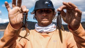 Creature Baits for Bass: Flipping and Pitching vs. Structure Fishing