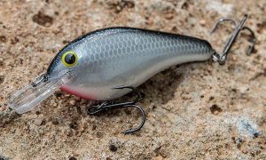 5 Shallow Bass Fishing Crankbait Colors You Need