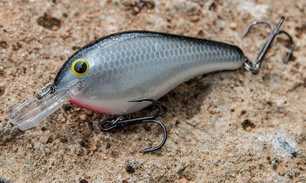 What is the best color crankbait for spring time? - Quora