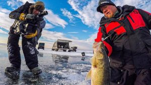 Ice Fishing Walleyes: Why Upsize Baits