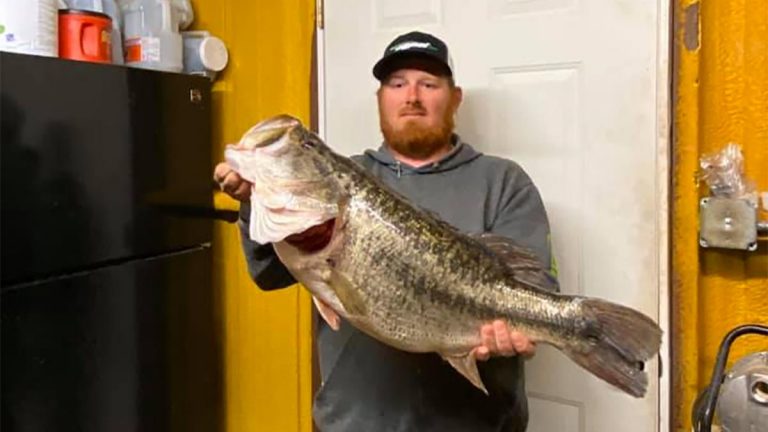 Giant Double-Digit Bass Caught in Texas this Weekend