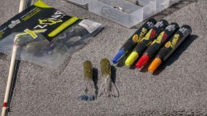 Why to Add Color to Your Bass Fishing Soft Plastics