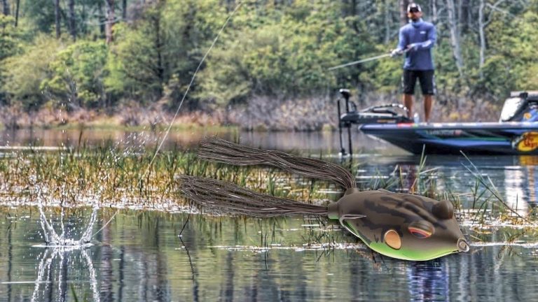 5 Reasons Hollow Body Frogs Excel for Bass