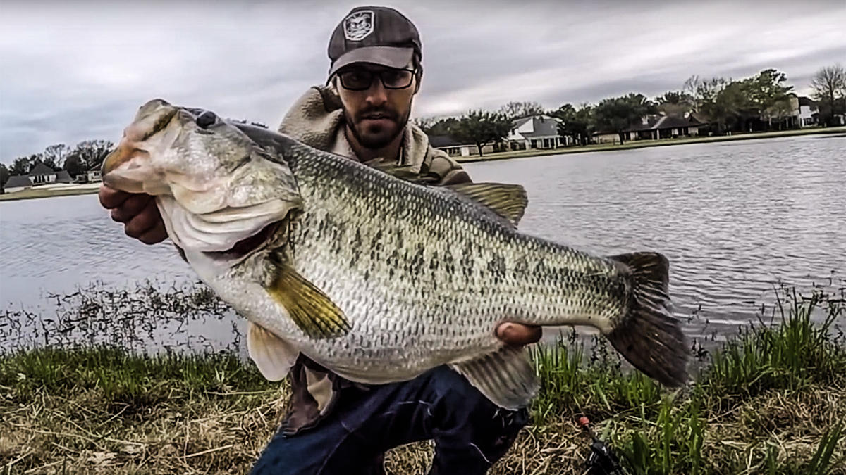 Angler Catches Bass of a Lifetime from the Bank - Wired2Fish