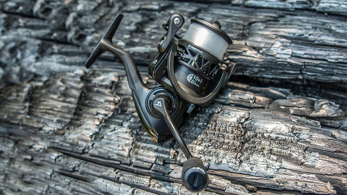 Piscifun Carbon X Spinning Reel Review - Wired2Fish