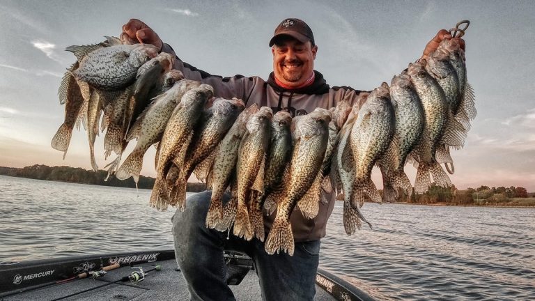 6 Ways to Catch More Crappie This Fall and Winter