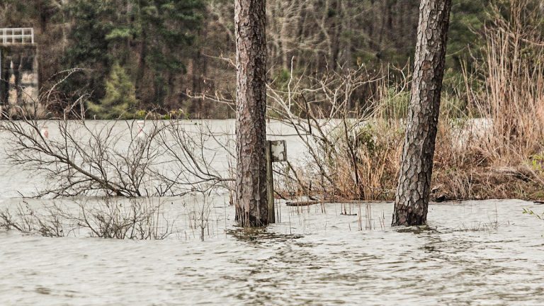 The Best Way to Fish Flooded Fisheries for Bass