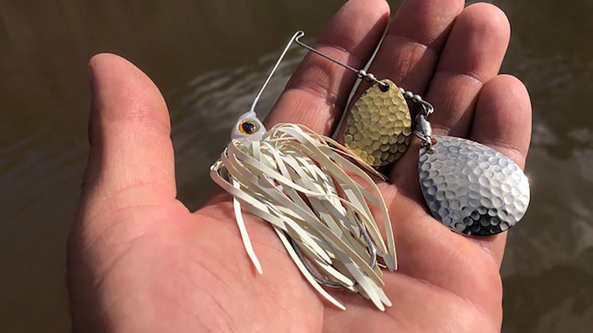 Going Old School: Why You Should Slow-Roll a Spinnerbait This Winter -  Wired2Fish