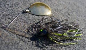 Selecting the Proper Spinnerbait Blade