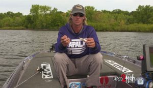 Top to Bottom Smallmouth Bass Baits