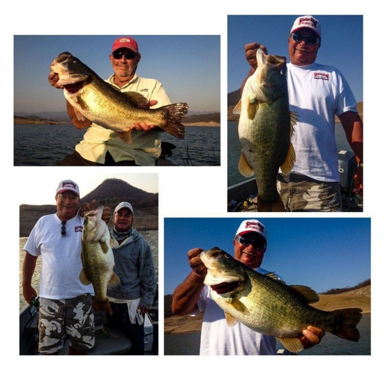 Denny Brauer’s Monster Baccarac Limit