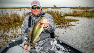 How to Fish Funnels for Bass Effectively