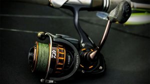 Daiwa BG Spinning Reel Review