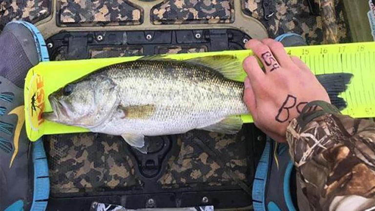 Top Viral Bass Fishing Content of 2019