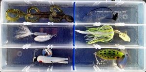 5 Farm Pond Baits for Big Lake Bas