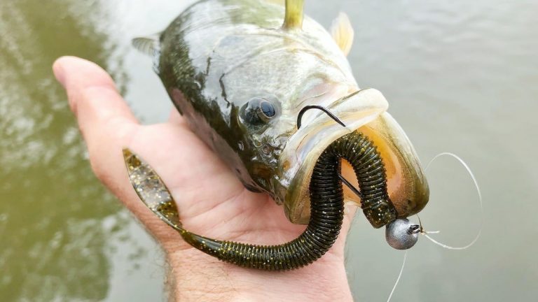 How To Bait A Hook With A REAL Worm, 60% OFF