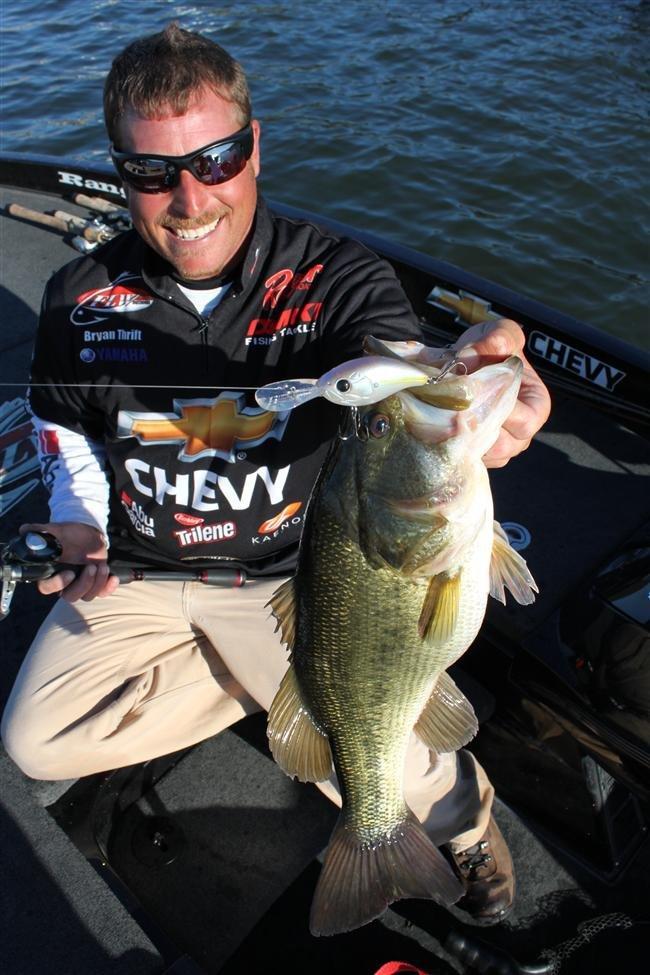 Choose The Medium For Early Winter Bass Fishing