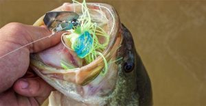 Why to Bend Bladed Swim Jigs