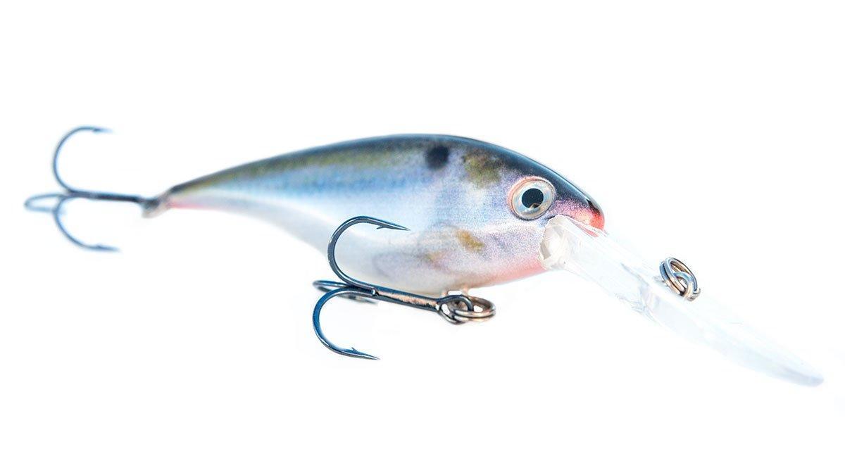 Strike King Pro Model Lucky Shad Review - Wired2Fish