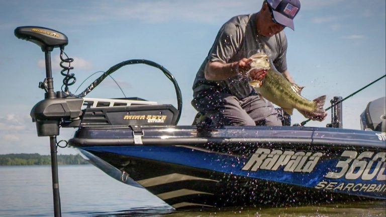 A Beginner’s Guide to Paddle Tail Swimbaits