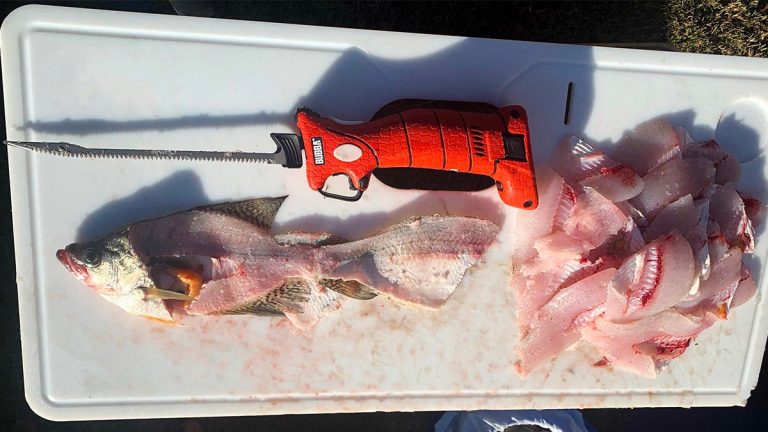 Bubba Lithium Ion Cordless Electric Fillet Knife Review - Wired2Fish