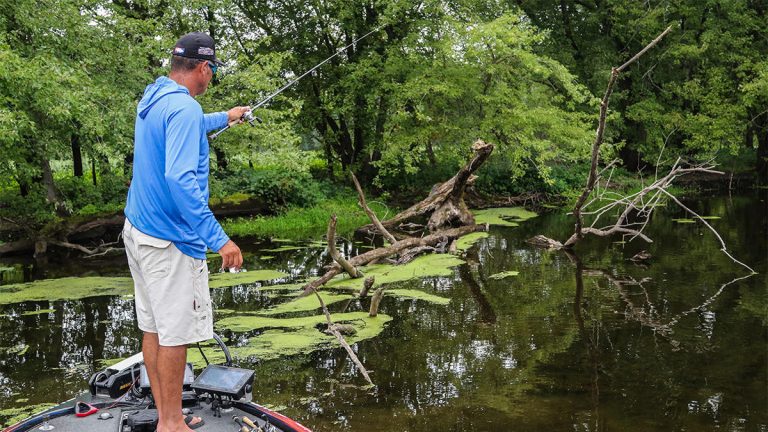 Find Bass Fishing Hotspots in Backwater Sloughs