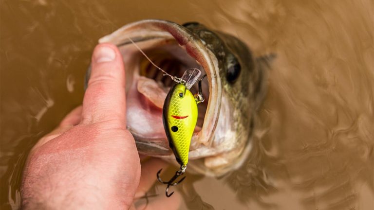 4 Ways to Climb out of a Fishing Slump