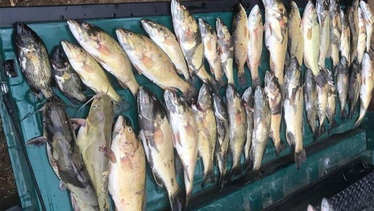 Men Caught, Charged with 30 Bass over Limit